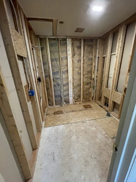 Doughman Bathroom Remodel photo 4